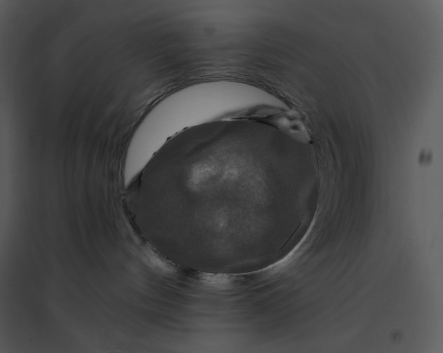 X0000095550144200801041339