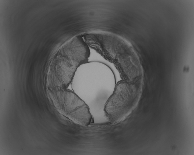 X0000095550145200801041338