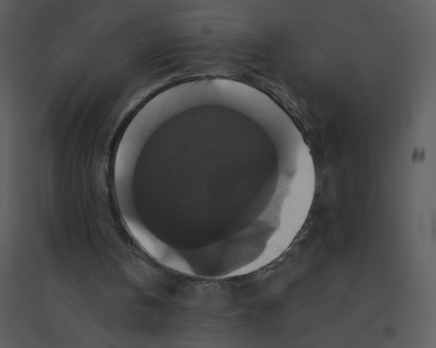 X0000095550146200801041338