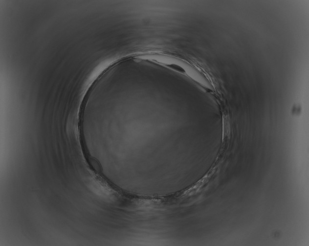 X0000095550147200801041338