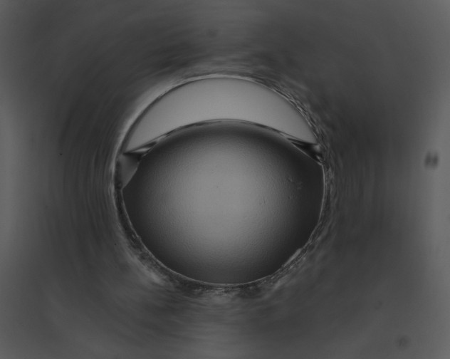 X0000095550148200801041338