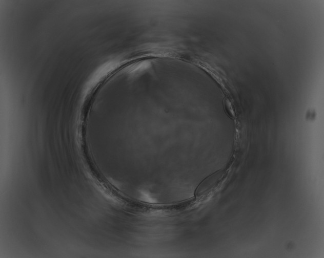 X0000095550149200801041338