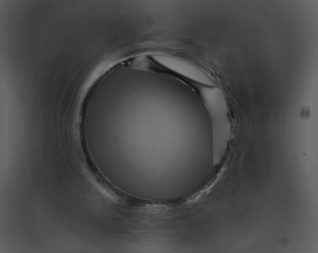 X0000095550150200801041338