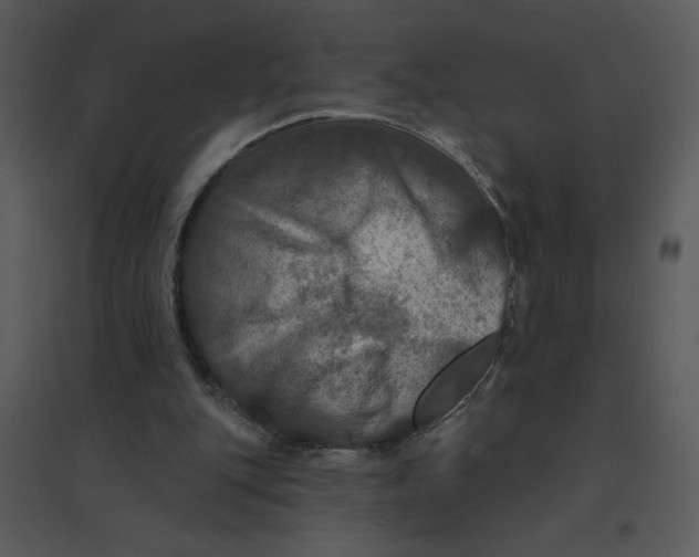 X0000095550151200801041338