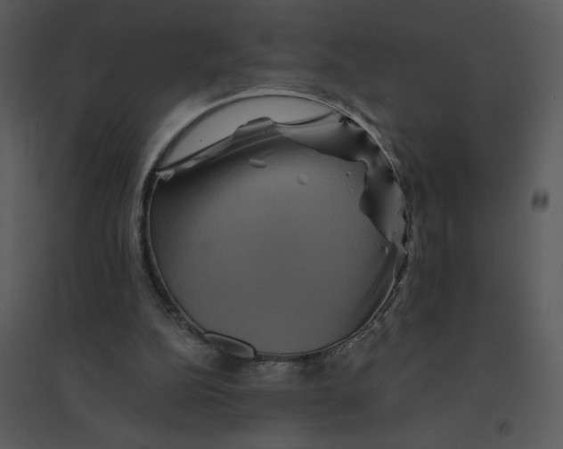 X0000095550152200801041338