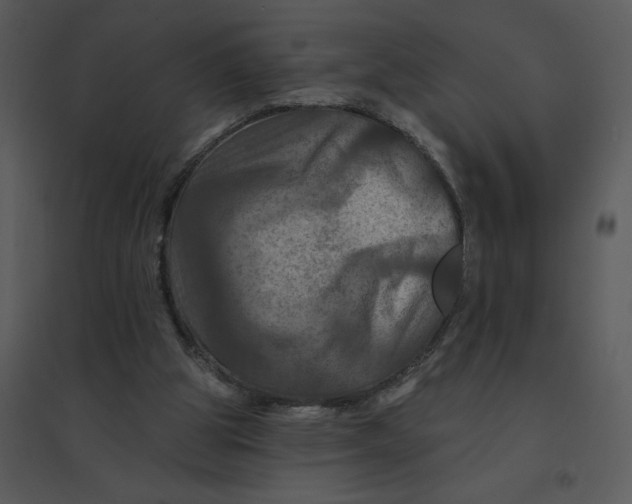 X0000095550153200801041338