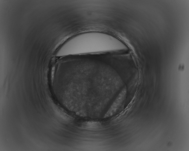 X0000095550154200801041338