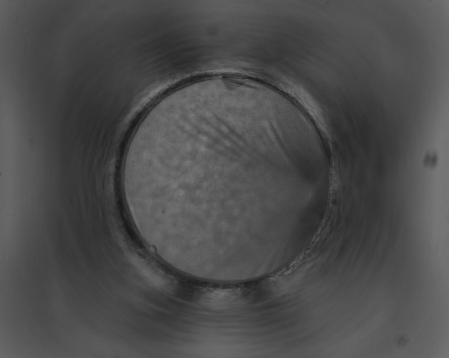 X0000095550155200801041338