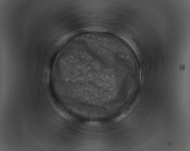 X0000095550157200801041338