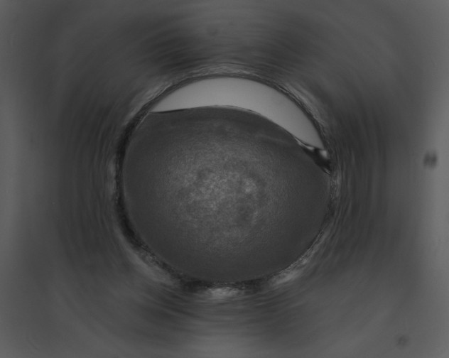 X0000095550158200801041338