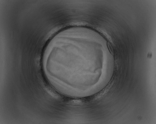 X0000095550159200801041338