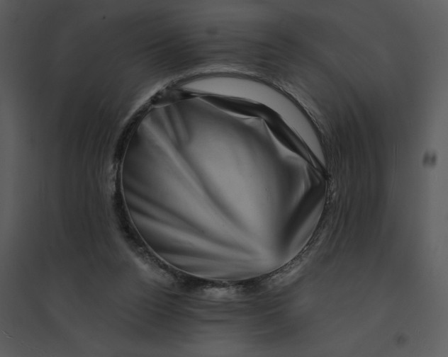 X0000095550160200801041338