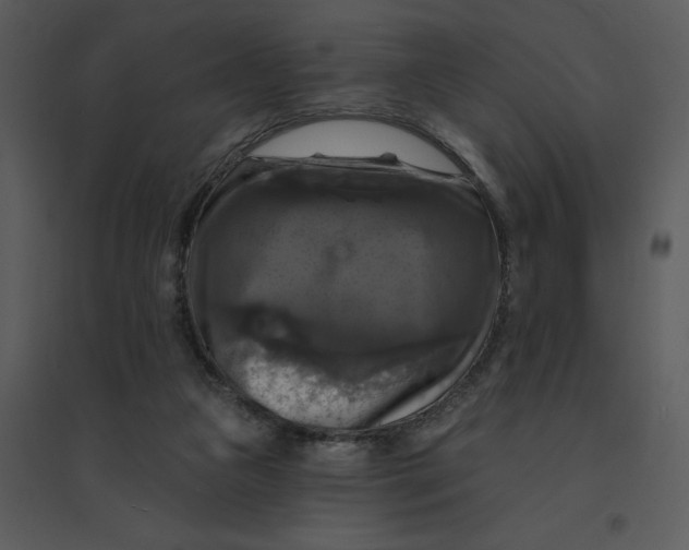 X0000095550161200801041338