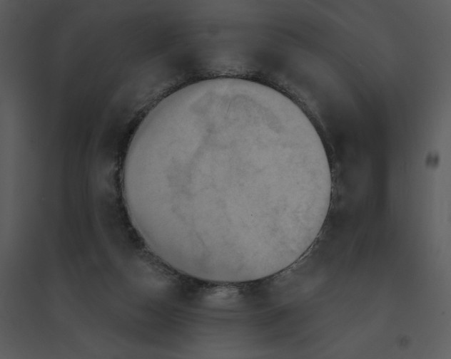 X0000095550162200801041338