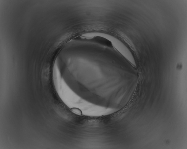 X0000095550163200801041338