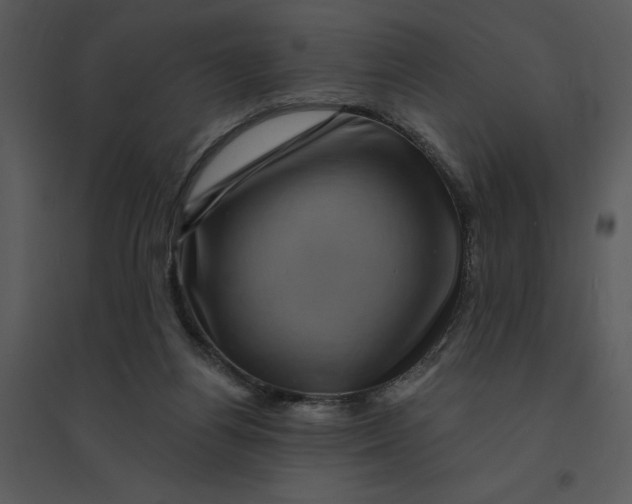 X0000095550164200801041338