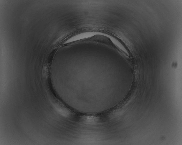 X0000095550165200801041338