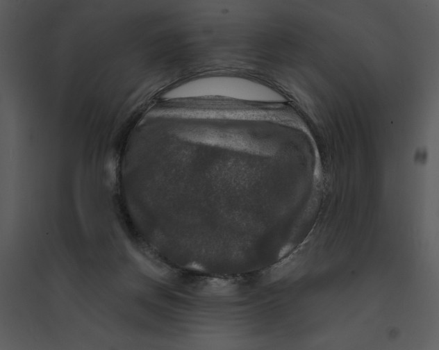 X0000095550166200801041338