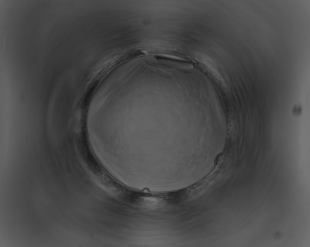 X0000095550167200801041338