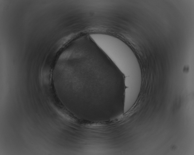 X0000095550168200801041338