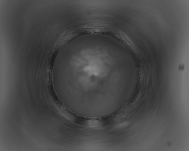 X0000095550169200801041338