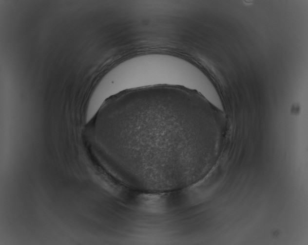 X0000095550170200801041338