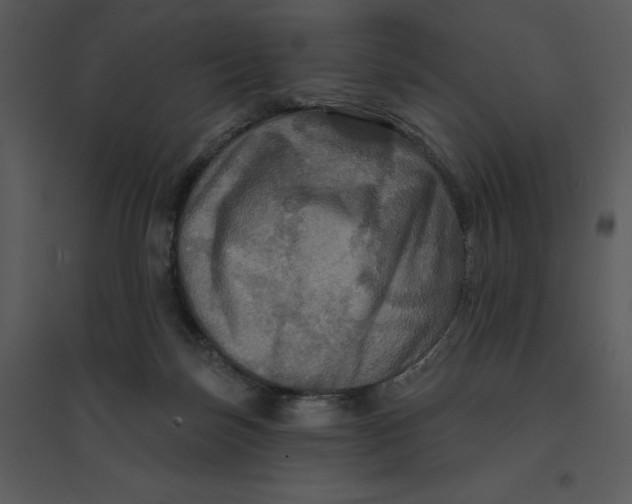 X0000095550171200801041338