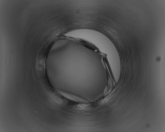 X0000095550172200801041339