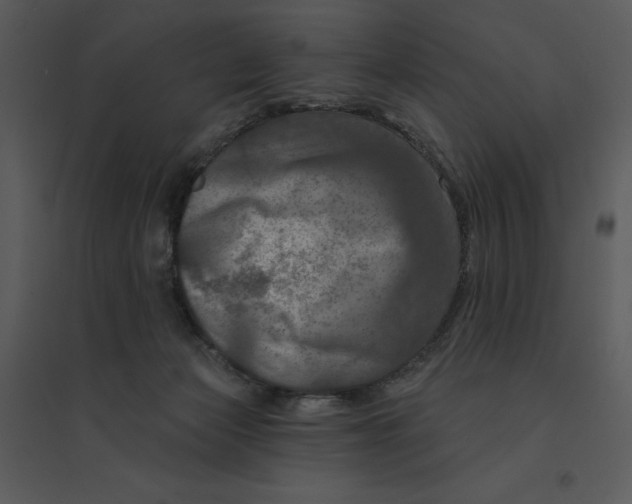 X0000095550173200801041339