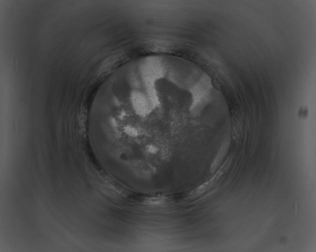 X0000095550175200801041339