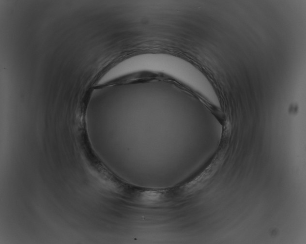 X0000095550176200801041339