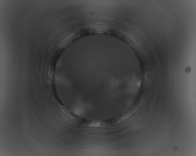 X0000095550177200801041339