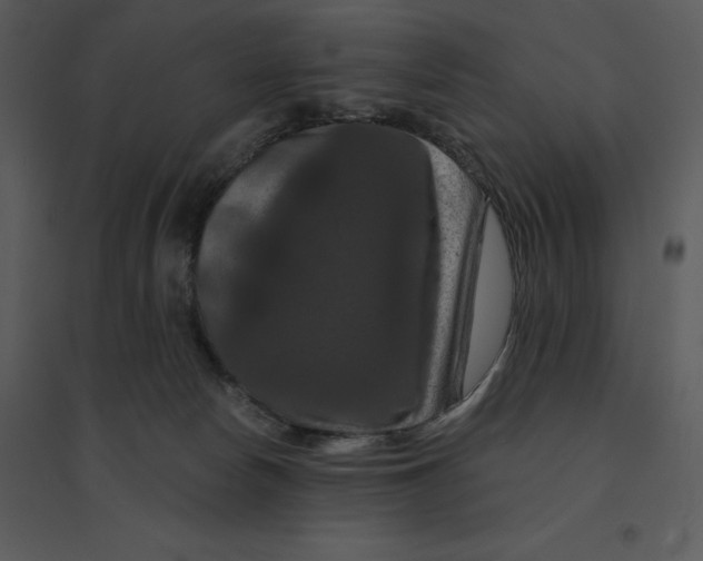 X0000095550178200801041339