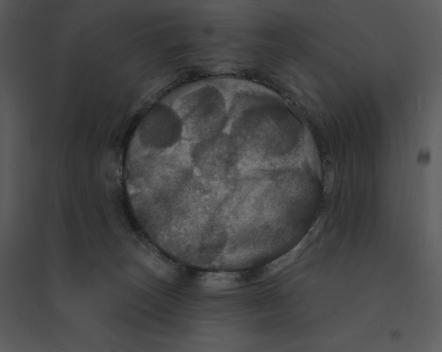 X0000095550179200801041339