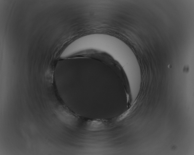 X0000095550180200801041339