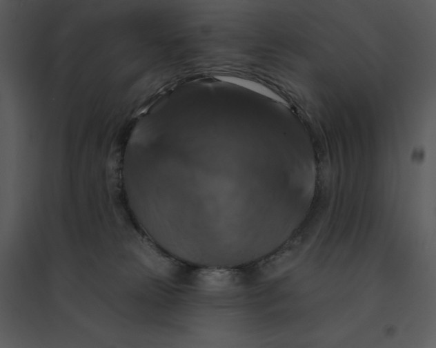 X0000095550181200801041339