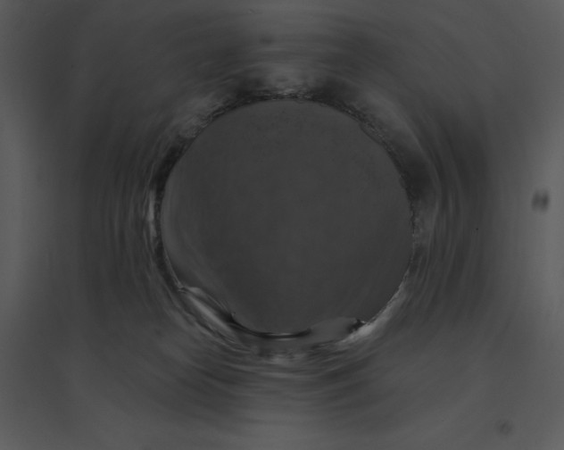 X0000095550182200801041339