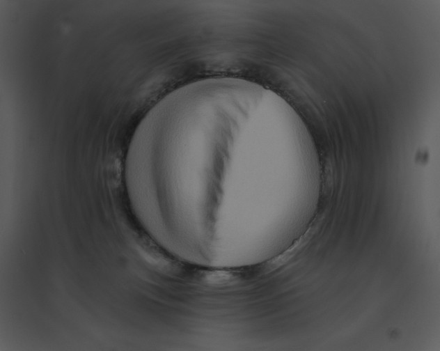 X0000095550183200801041339