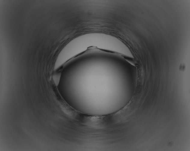 X0000095550184200801041339