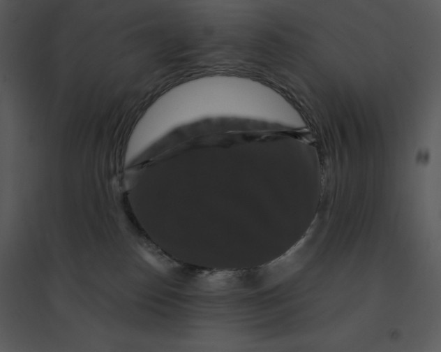 X0000095550186200801041339