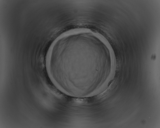 X0000095550187200801041339