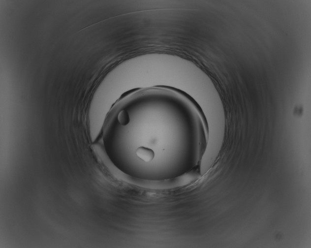 X0000095550188200801041339