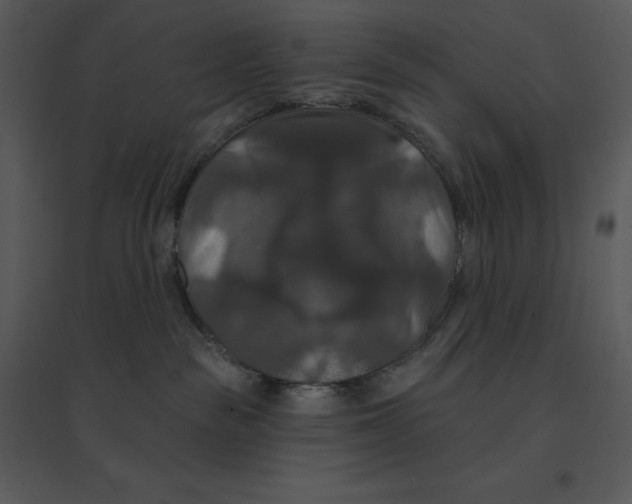 X0000095550189200801041339