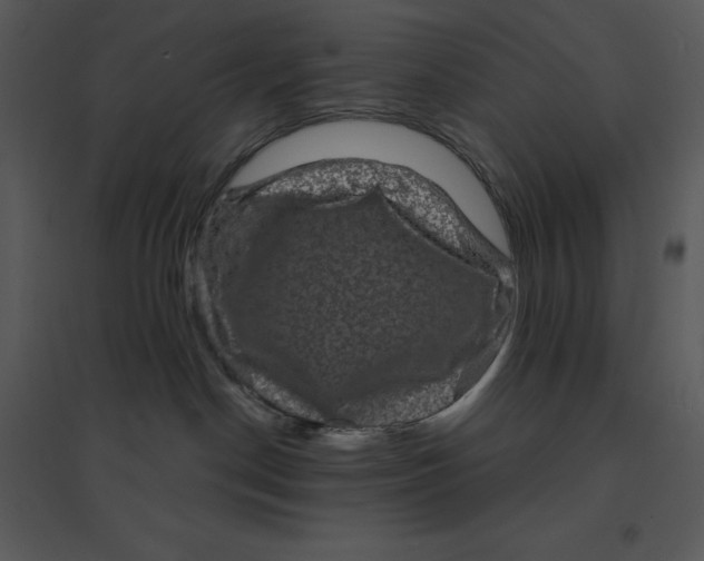 X0000095550190200801041339