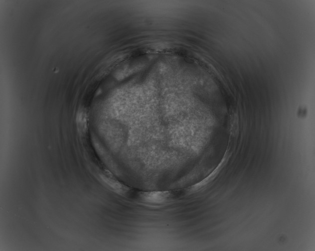 X0000095550191200801041339