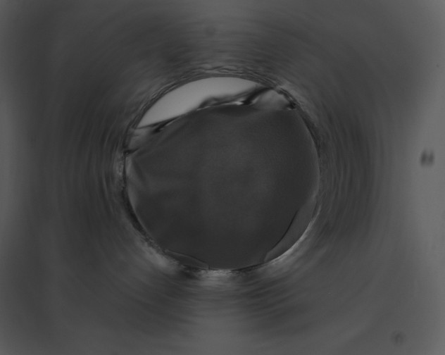 X0000095550192200801041339