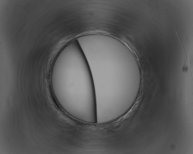 X0000095550193200801041338