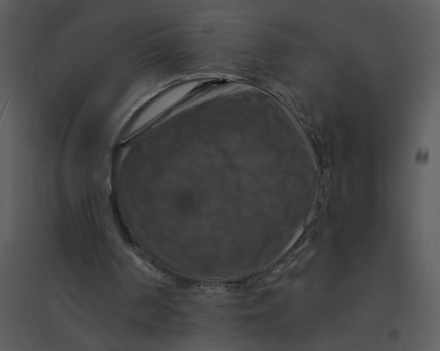 X0000095550194200801041338