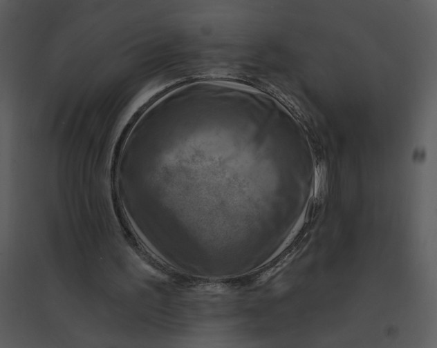 X0000095550195200801041338