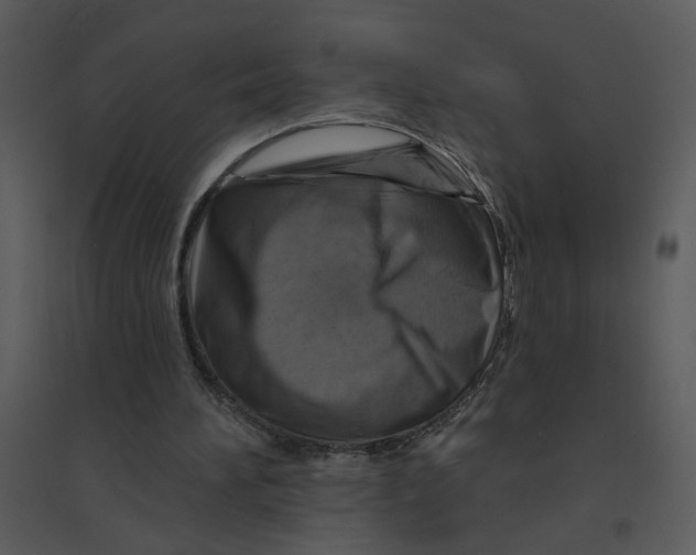 X0000095550196200801041338